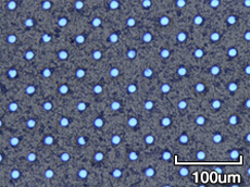 304 不锈钢 t0.05 mm